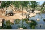 bioparcvalencia2