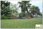 botanico1