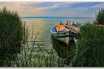 parque_natural_albufera1